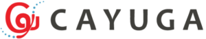 cmi_extended